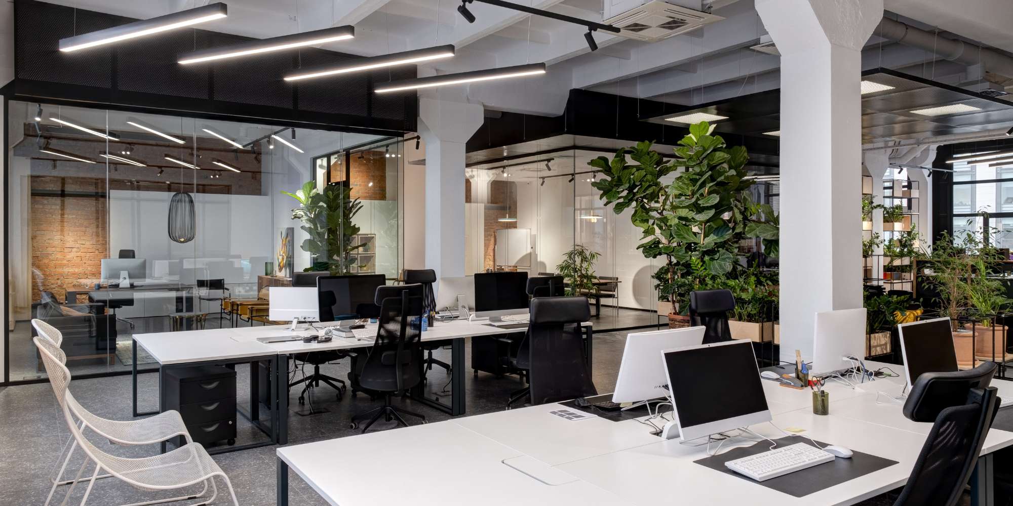 Office Air Quality and Solutions – Prodolita